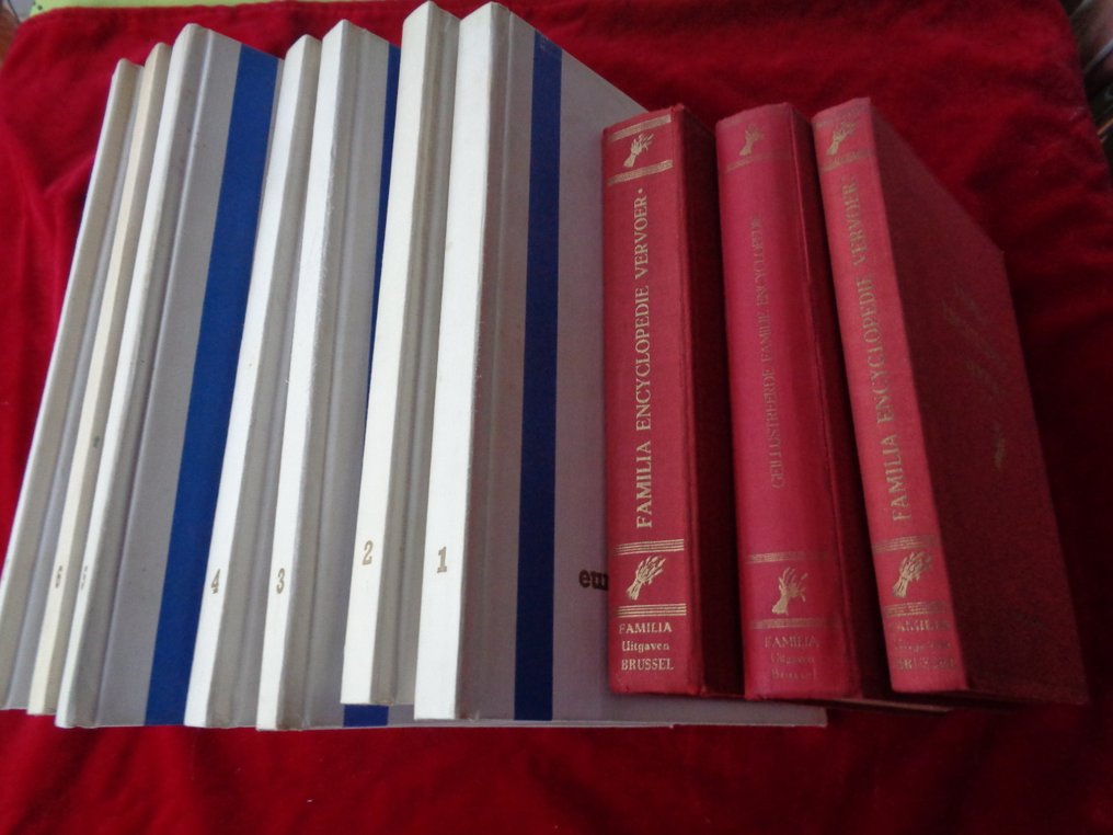 主题收藏系列 - 1300本旧的彩色卡片，家庭与历史，收录于11本相册中。 #1.0