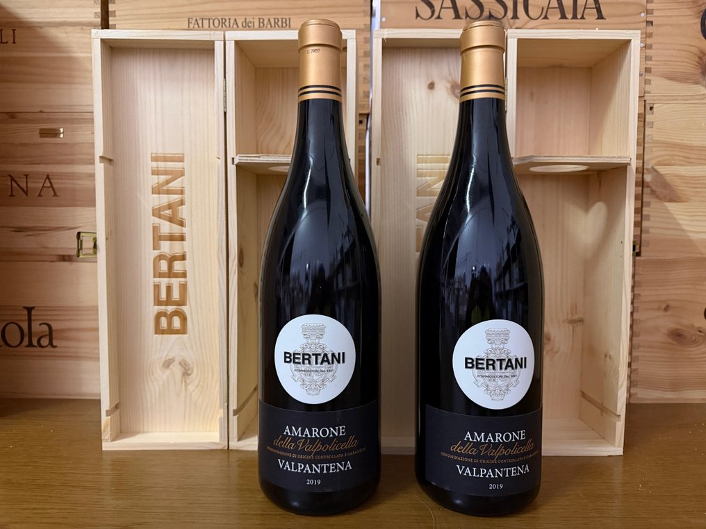 2019 Bertani "Valpantena" - Amarone della Valpolicella - 2 Magnums (1.5L) #4.3