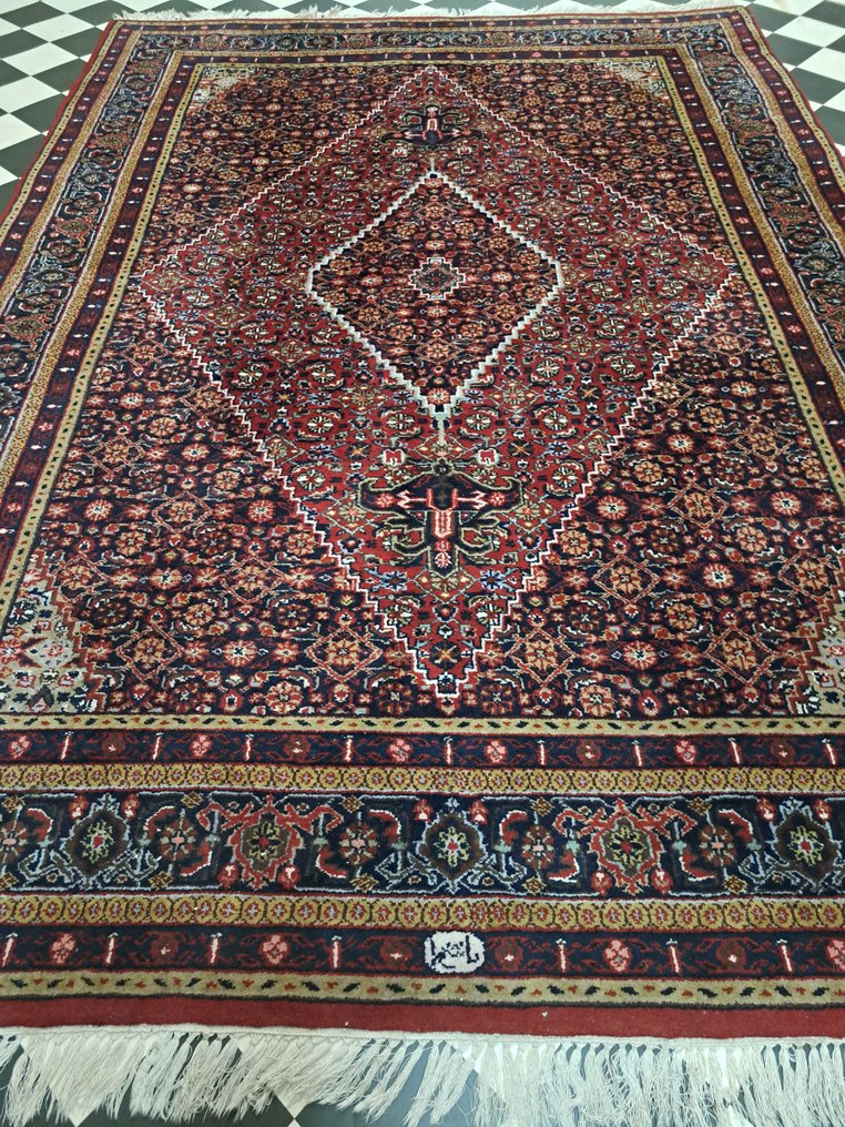 Bidjar - Tæppe - 240 cm - 173 cm #1.0