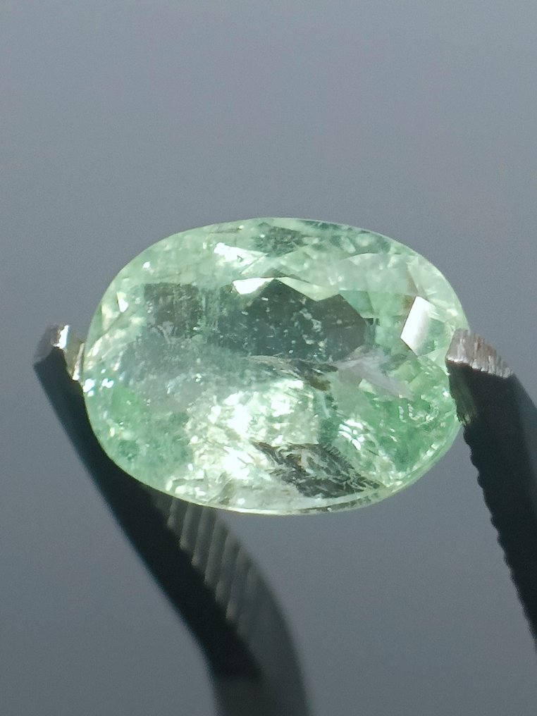 没有保留价 - 1 pcs 绿色, 黄色 电气石 - 2.70 ct - 国际宝石研究院(IGI) #1.0