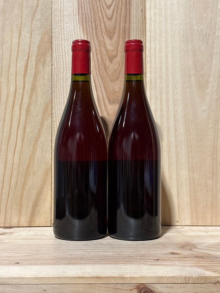 2019 E. Reynaud, Domaine des Tours - Parisy - Cotes du Rhone - 2 Bottles (0.75L) #3.2