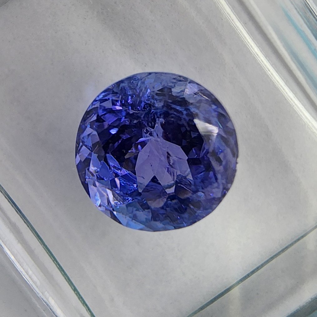 没有保留价 - 1 pcs 蓝色, 紫罗兰色 坦桑石 - 1.73 ct - 国际宝石研究院(IGI) #4.3