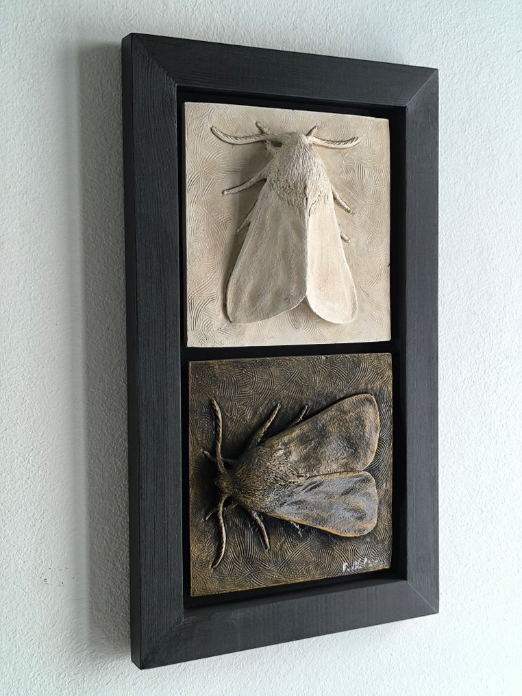 Federico Alibrio - Moths - Vertical and horizontal #1.0