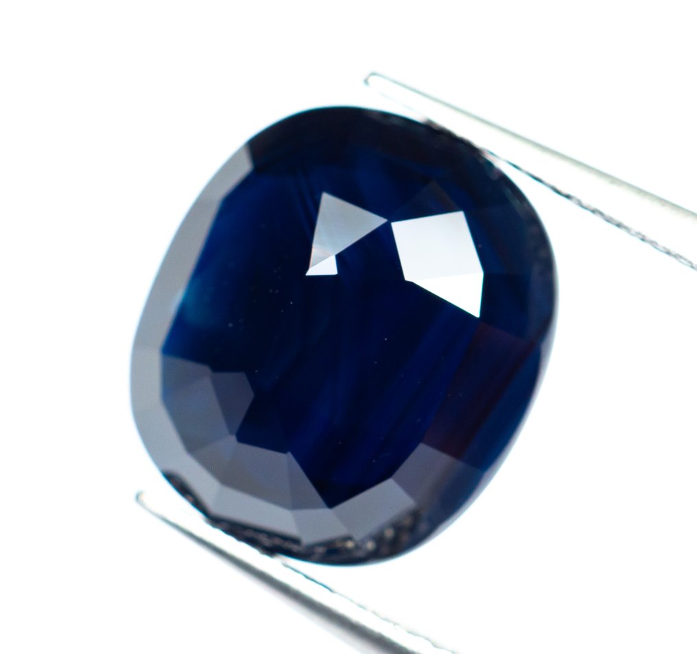 Sin precio de reserva Zafiro - 12.10 ct - Lotus Gemology - Deep Blue #4.3