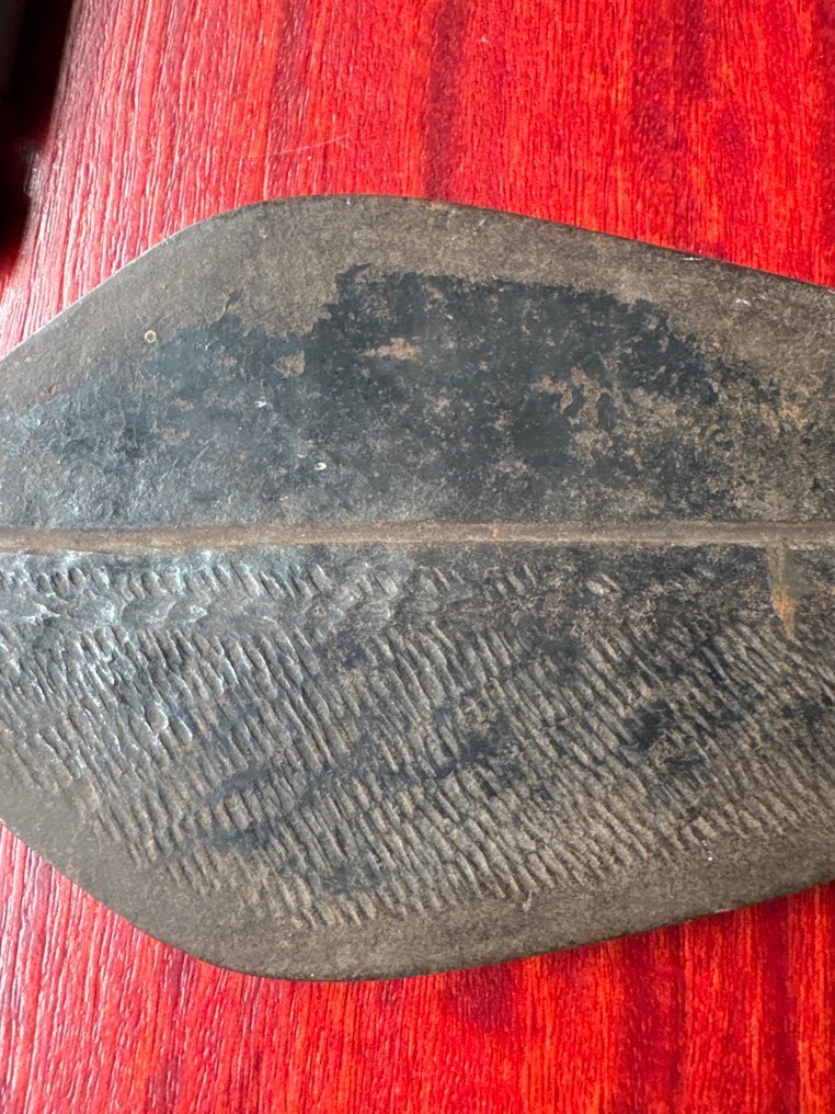 Tőr - Lobala - Kongó #3.2