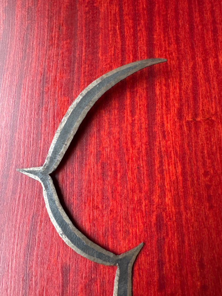 Pugnale - Sengele - Konda - Congo #3.2