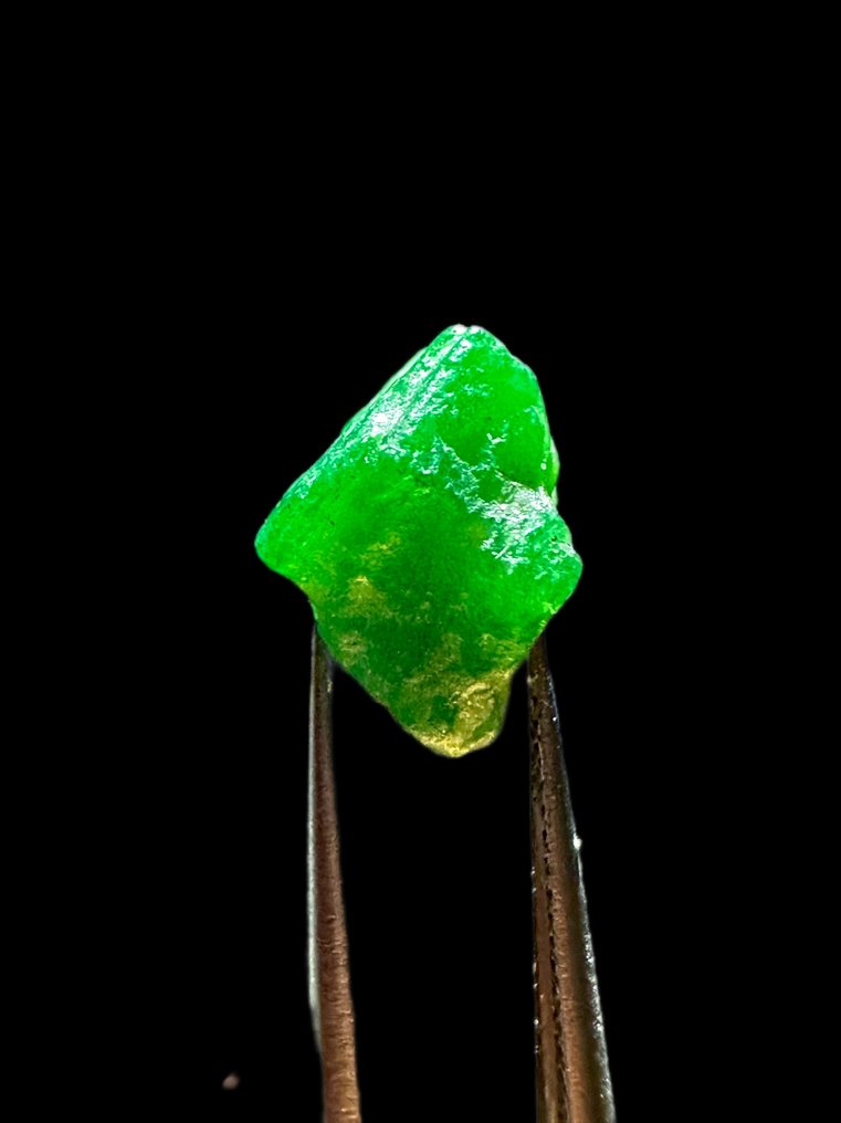 祖母绿 粗糙。6.40克拉 顶级绿色巨大翡翠水晶。百分之百特别之作！ - 高度: 13 mm - 宽度: 10 mm- 1.28 g #1.0