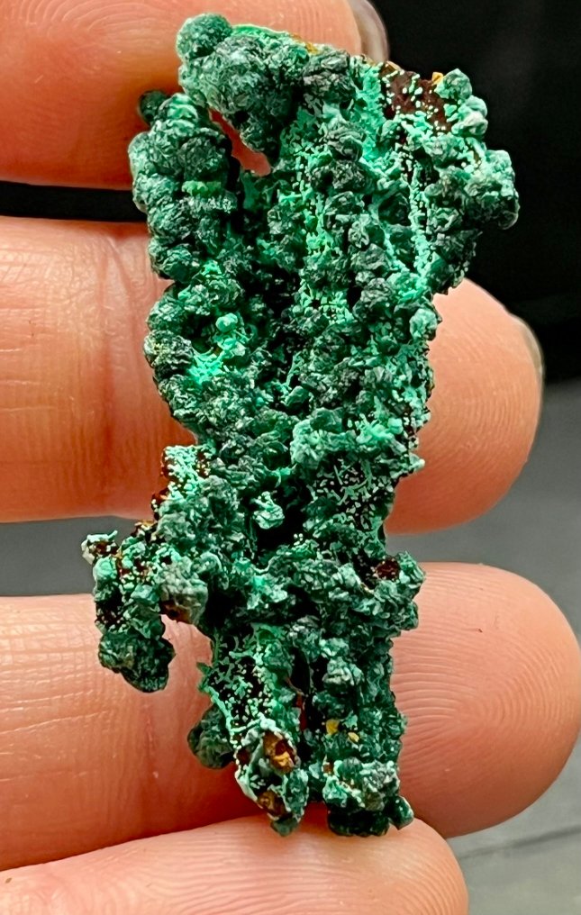 Malachite Rough - Height: 5 cm - Width: 3 cm- 500 g - (16) #2.1