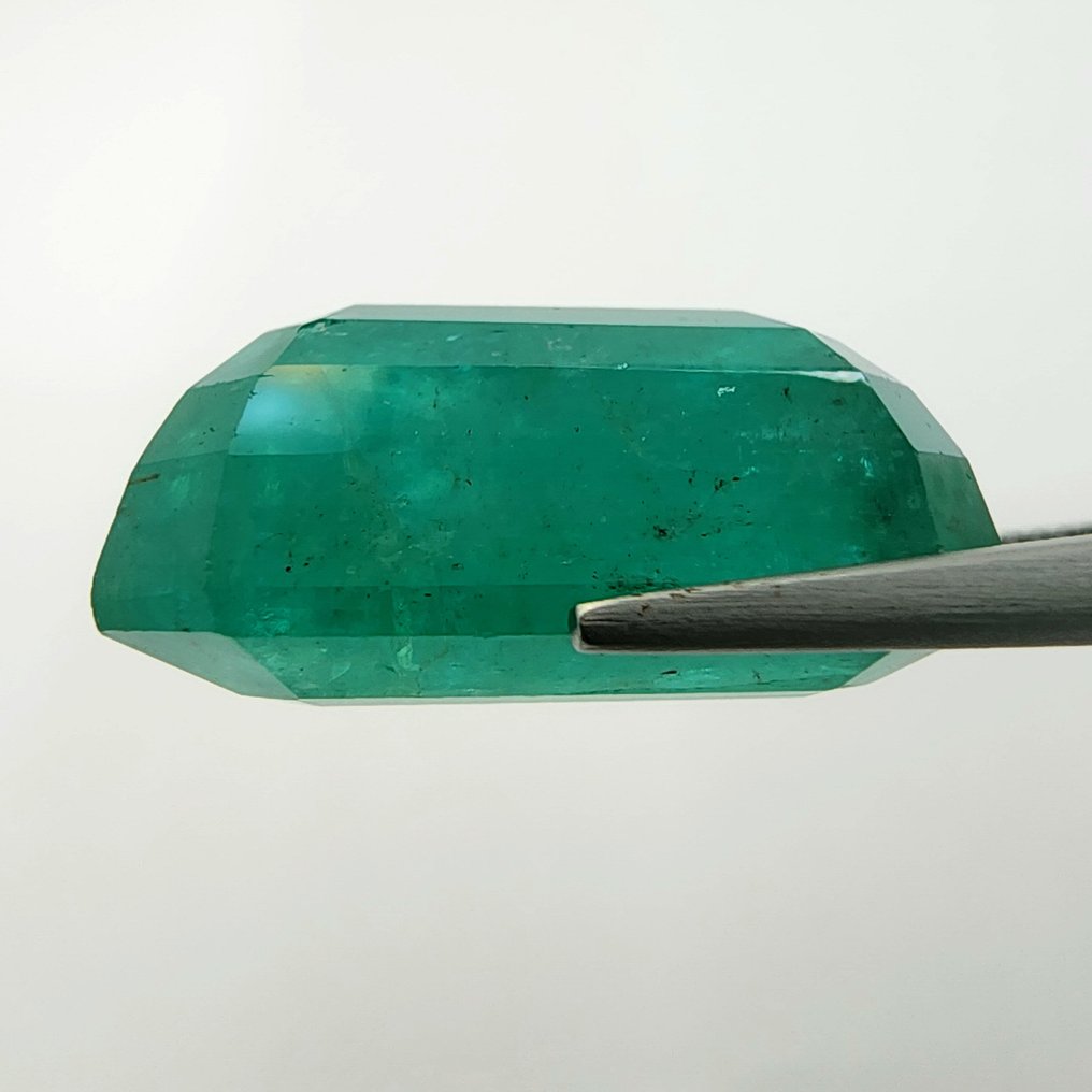 没有保留价 - 1 pcs  绿色 祖母绿  - 25.52 ct - 国际宝石研究院（IGI） #4.3