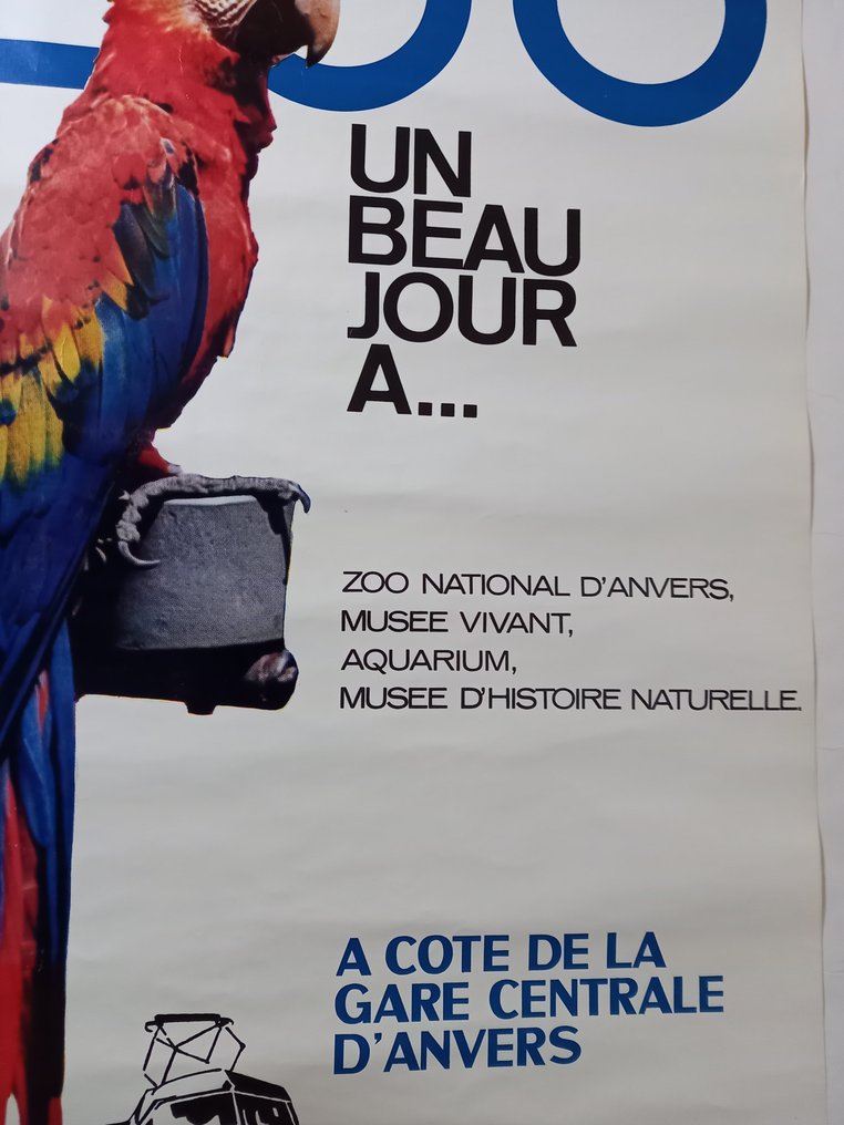Papegaai/Ara - ZOO UN BEAU JOUR A... - Lata 70. #3.2