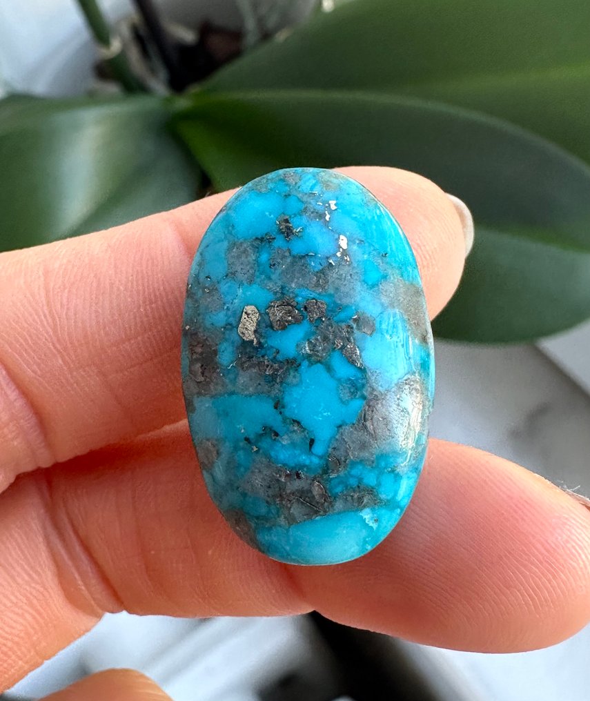 Τυρκουάζ Πραγματικό διαμάντι! Υψηλής ποιότητας Τουρκουάζ Νεϊσαμπούρ, 36,45 καρατίων. Μεγάλο υπέροχο κομμάτι. - Ύψος: 27 mm - Πλάτος: 15 mm- 7.29 g #1.0