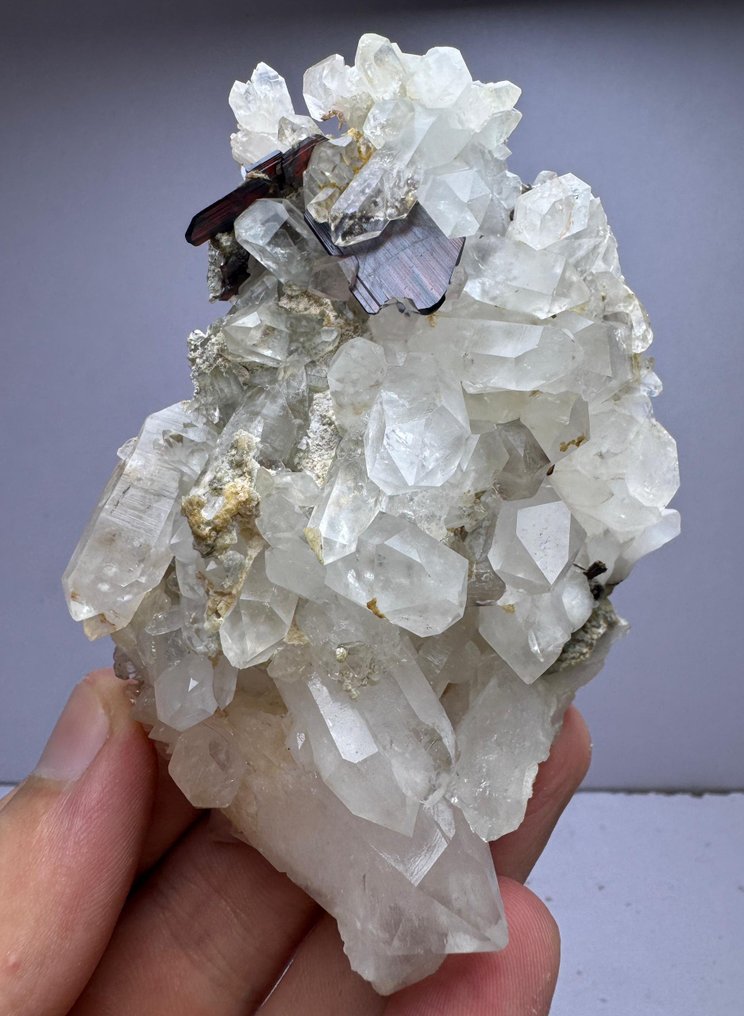 Κορυφαίο Red Phantom Brookite Κρύσταλλοι στη μήτρα - Ύψος: 43 mm - Πλάτος: 100 mm- 210 g - (1) #4.3