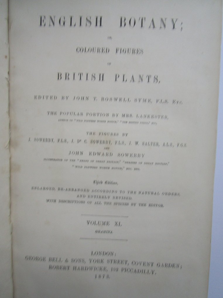 J. E. Sowerby; J. W. Salter e.a. - English Botany - 1873 #2.1