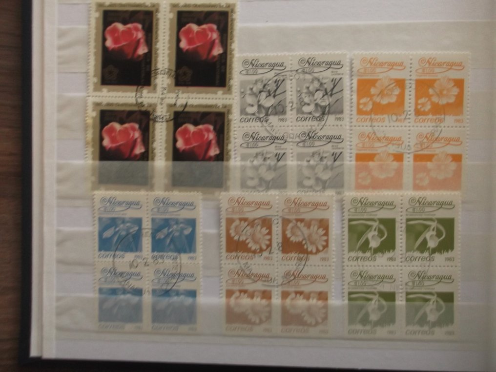 World  - Flora's beautiful collection according to the description. #3.2