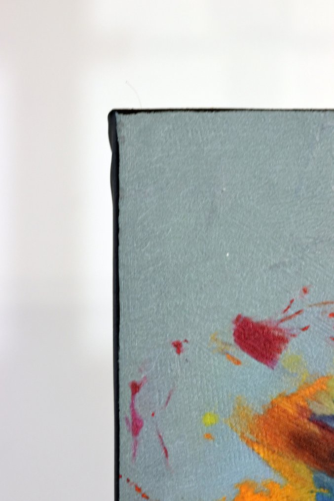 Michael Mey - Vivid Zebra #3.2