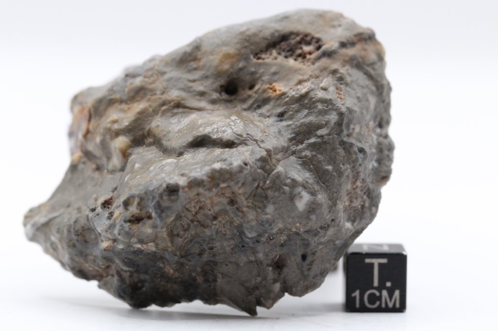 Holdmeteorit Touat 008 Lunar Troctolitiic melt breccia meteorite, rendkívül ritka Lunar, ez csak 5 ilyen Lunar - 70.3 g #4.3