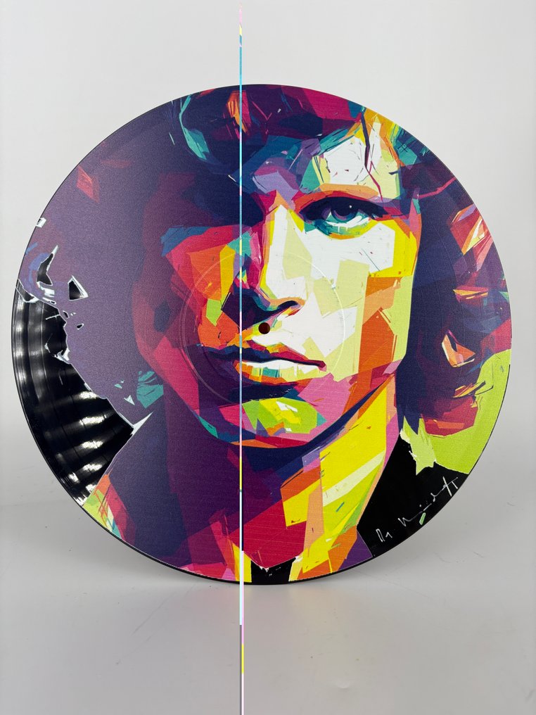 DR HIDE - Vinyl Record Riders on the Storm #1.0