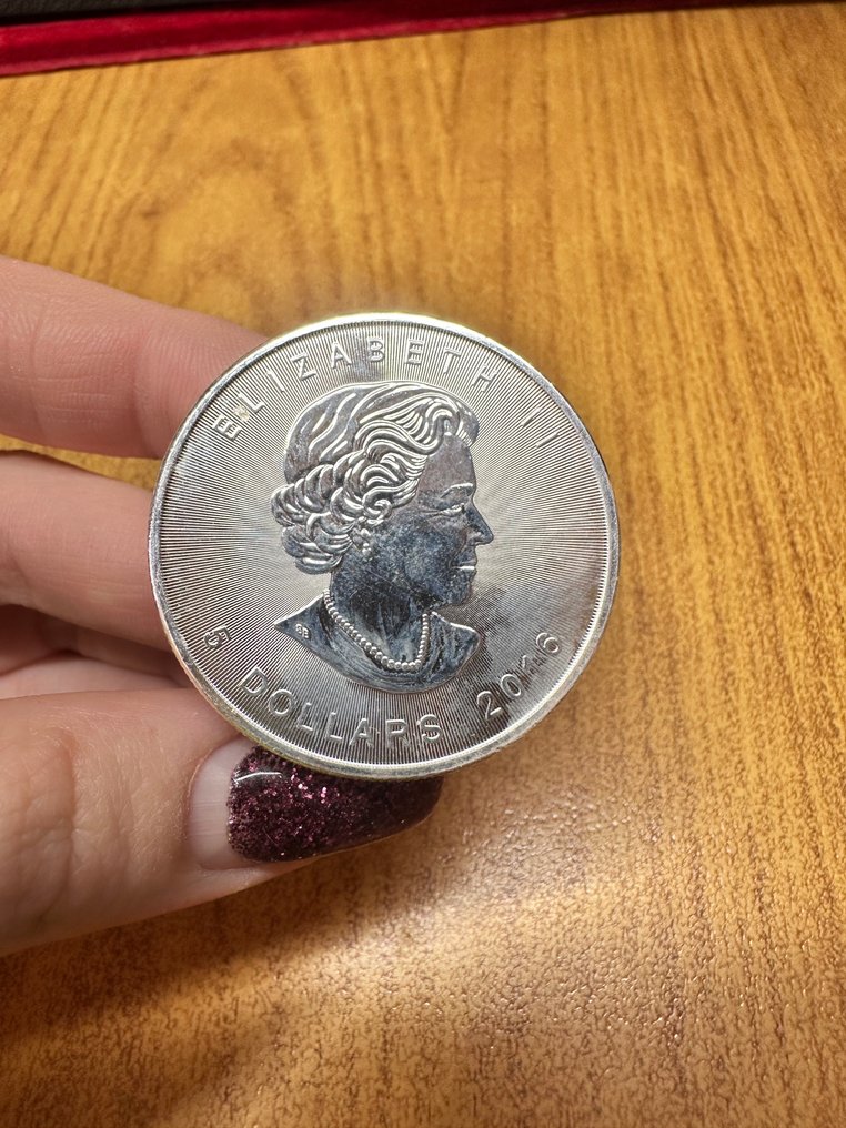 加拿大. 5 Dollars 2016 Maple Leaf, 1 Oz (.999)  (沒有保留價) #1.0