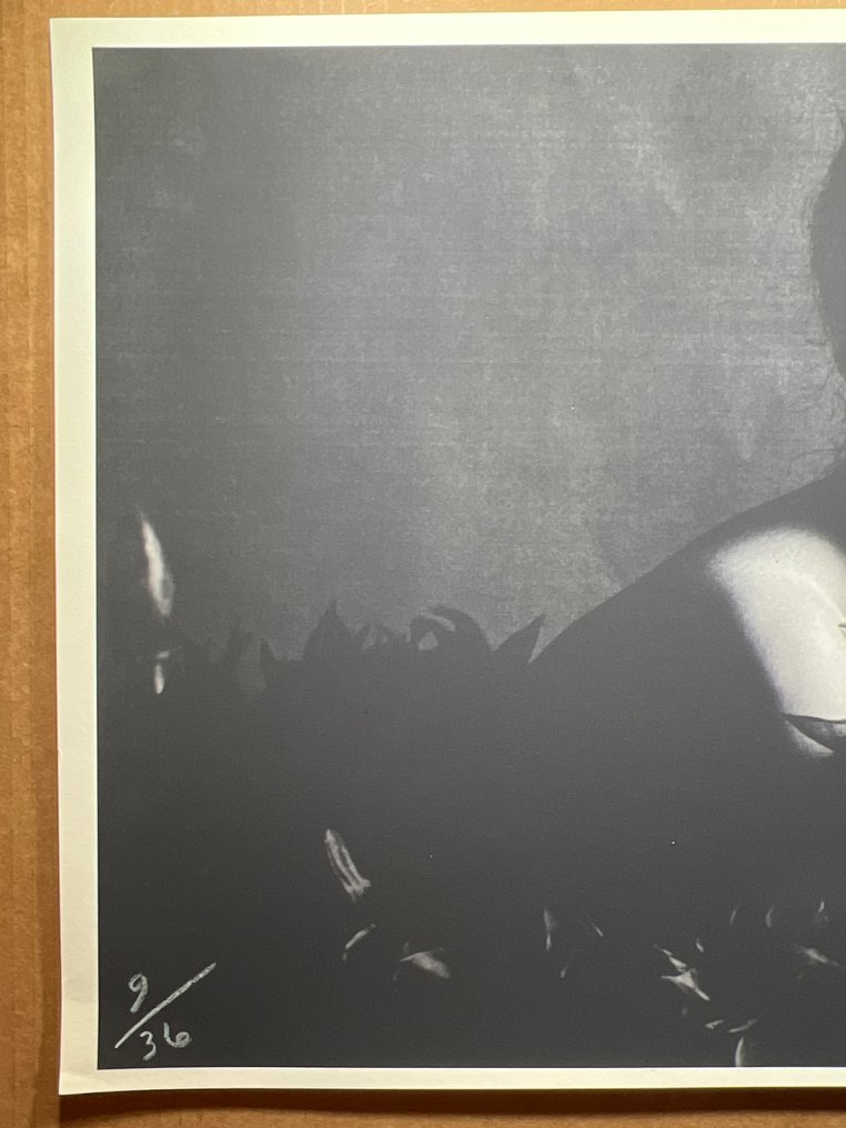 Bert Stern (1929–2013) - Bert Stern Signed Famous Sophia Loren #4.3