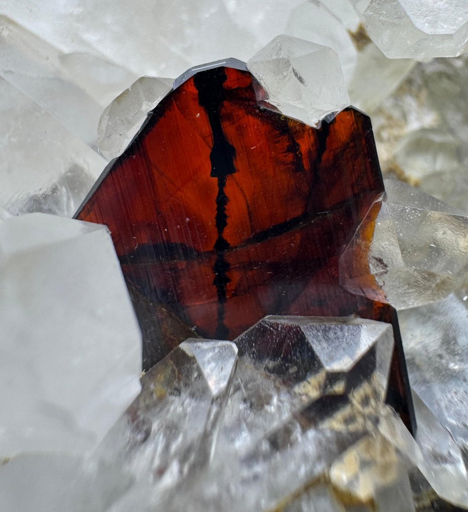 Κορυφαίο Red Phantom Brookite Κρύσταλλοι στη μήτρα - Ύψος: 43 mm - Πλάτος: 100 mm- 210 g - (1) #1.0