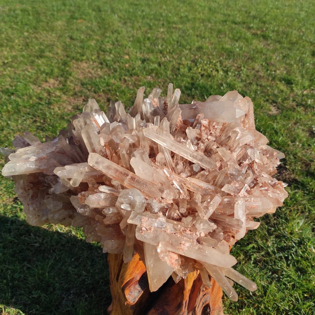 Honey-colored quartz Crystals on matrix - Height: 24 cm - Width: 45 cm- 24700 g - (1) #1.0