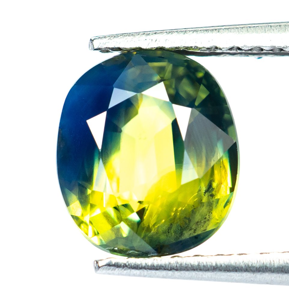 沒有保留價 藍寶石  - 2.82 ct - Bellerophon Gemlab - 多彩 #1.0