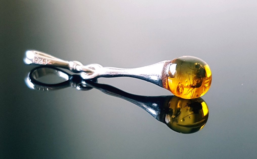 Pandantiv rar din chihlimbăr baltic natural, cu inclusiune de insecte fosile - Frumos, de calitate - Chihlimbar #2.1