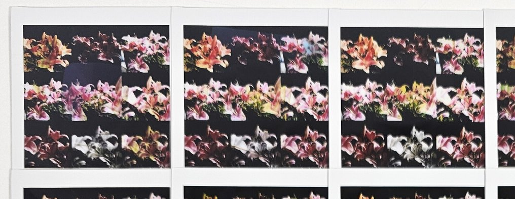 Maurizio Galimberti (1956–) - Bifiorario Pop #4.3