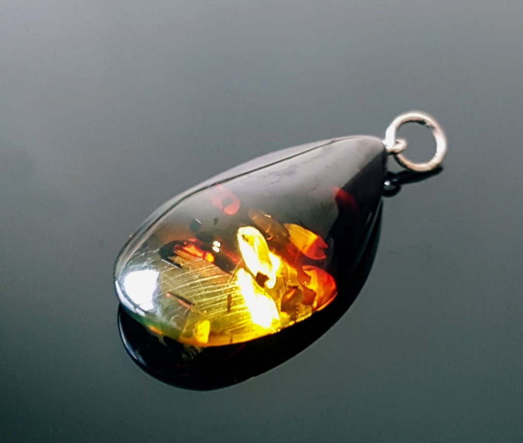 Baltic Amber - Pendant #1.0