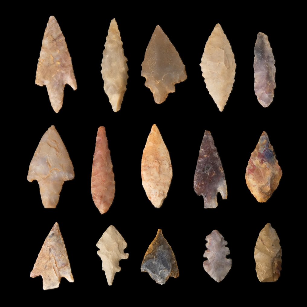 Neolithic Flint, Stone, Agate Collection of 15 Neolithic arrowheads  (No reserve price) #1.0