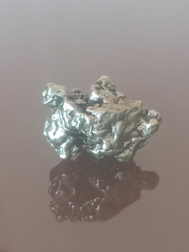 Meteorite Campo del Cielo. Item without a reserve price. - 38.85 g #1.0