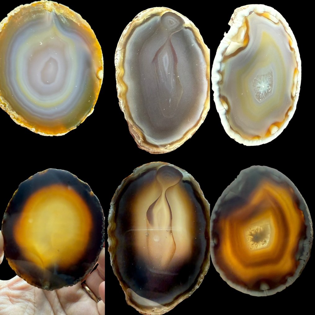 Coleção de 3 ágatas com bandas multicoloridas- 430 g #1.0