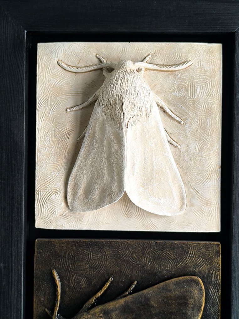 Federico Alibrio - Moths - Vertical and horizontal #3.2