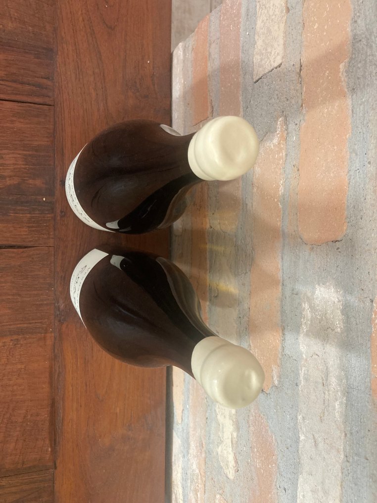 2021 Patrick Piuze, Terroir de Chablis - Chablis - 2 Magnums (1.5L) #3.2