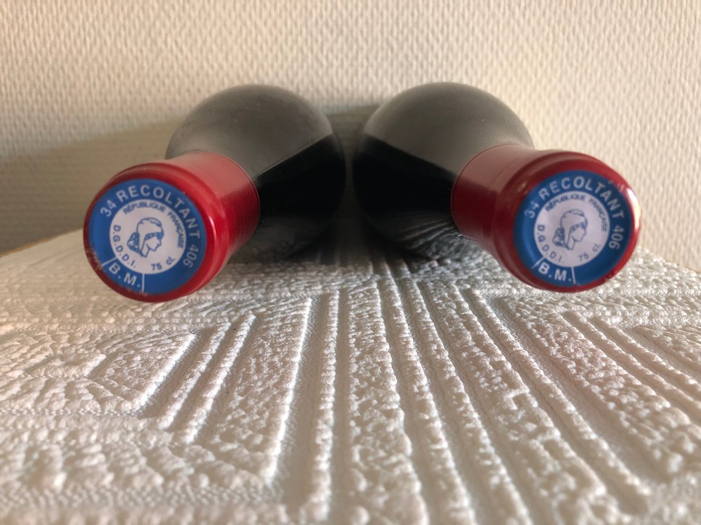 2020 & 2021 Domaine de La Grange Des Pères - Languedoc - 2 Flaschen (0,75 l) #4.3