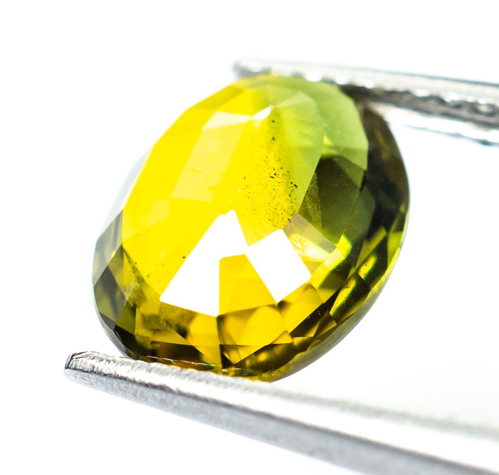 没有保留价 蓝宝石  - 2.59 ct - Bellerophon 宝石实验室 - 偏黄的绿色 #4.3