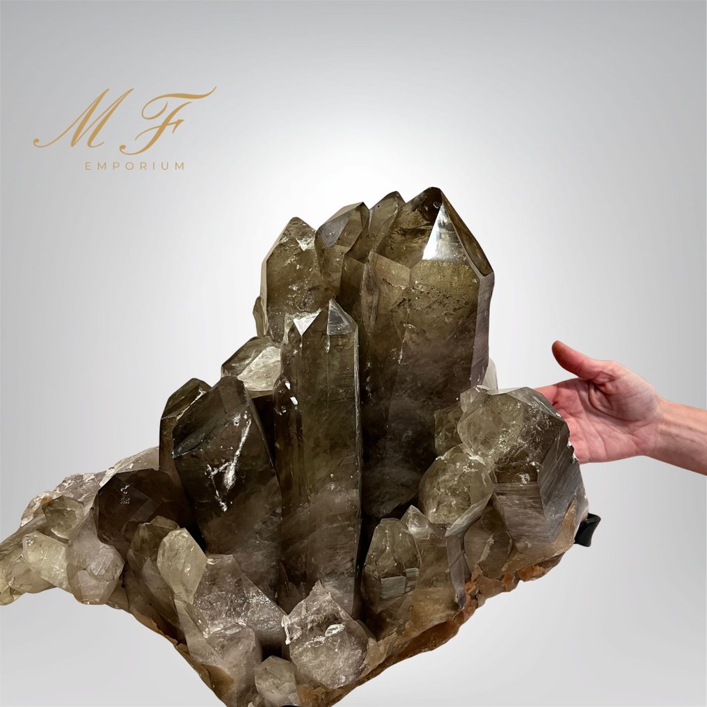 Προϊόν υψηλής ποιότητας - φυσική καπνιστή χαλαζίας - πολύ μεγάλος μέγεθος. Κρύσταλλοι - Ύψος: 52 cm - Πλάτος: 44 cm- 22 kg - (1) #1.0