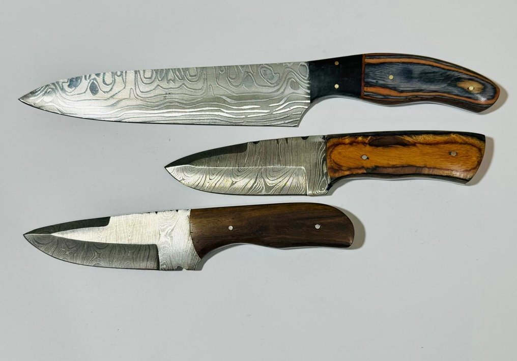 Køkkenkniv -  Køkkenbordkniv (0095) - Eksotisk træhåndtag og foldet stål - Storbritannien - Køkkentafelkniv #1.0