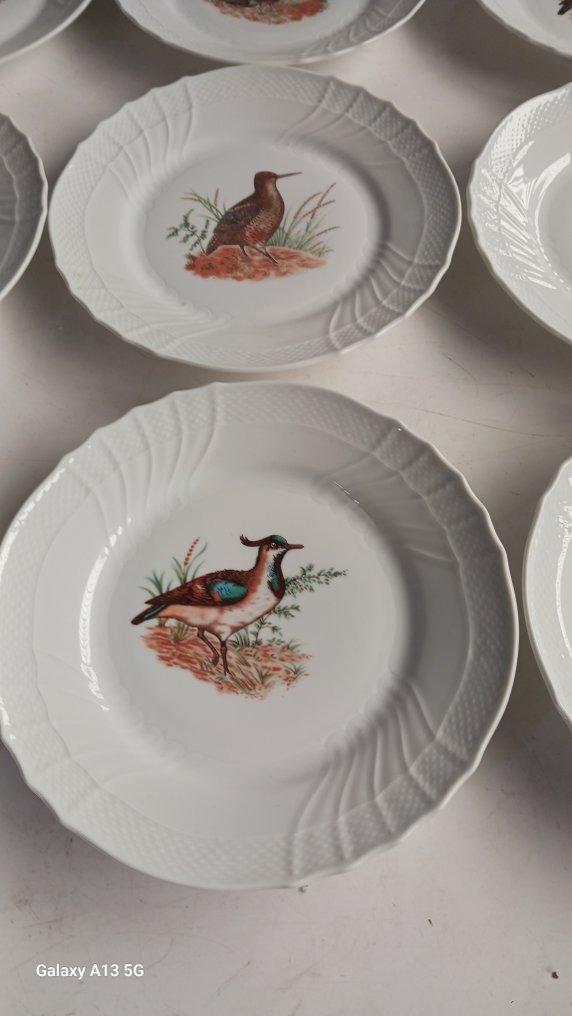 Richard Ginori - 盘子 (12) - 瓷 #2.1