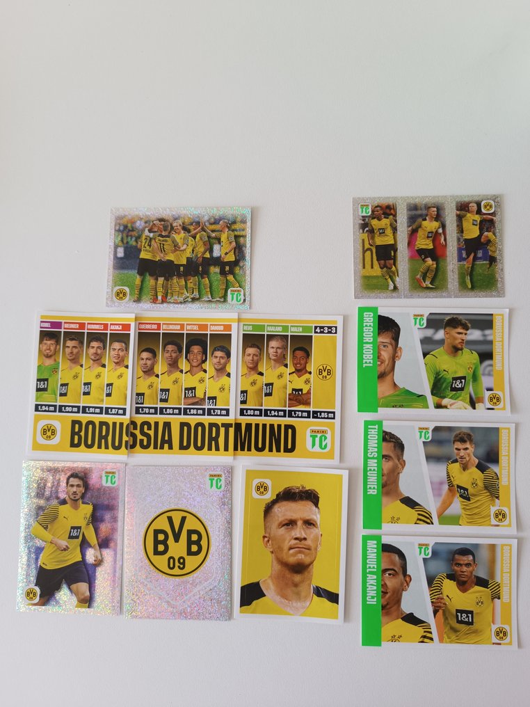 2022 Panini Top Class - 1 Empty album + complete loose sticker set - Good (GD) #4.3