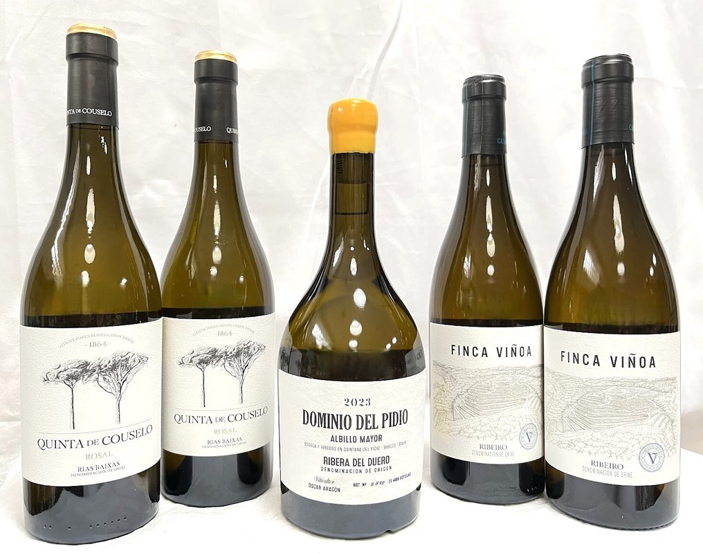 2023 Dominio del Pidio Albillo, 2023 x2 Quinta de Couselo & 2023 x2 Finca Viñoa - Rias Baixas, Ribeiro, Ribera del Duero - 5 Bottles (0.75L) #1.0