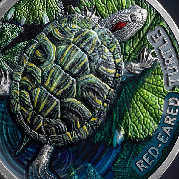 Niue. 2 Dollars 2024 Red-Eared Turtle - Lifelong Journey 2 oz Antique finish Silver Coin (.999) #4.3