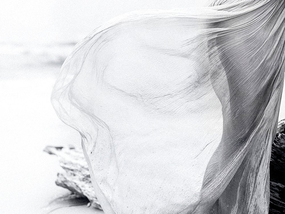 Lou Atmån - Delphine - sans titre 01 #4.3