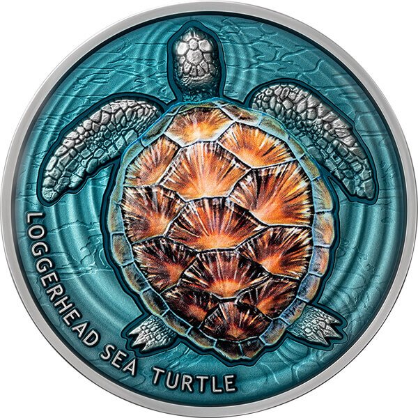 Niue. 2 Dollars 2023 Loggerhead Sea Turtle - Lifelong Journey 2 oz Antique finish Silver Coin (.999) #1.0