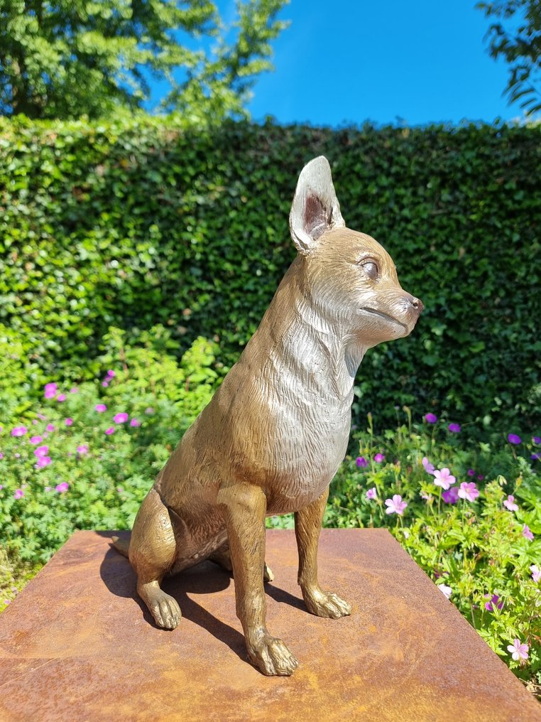 Szobrocska - Chihuahua - hond - Bronz #3.2