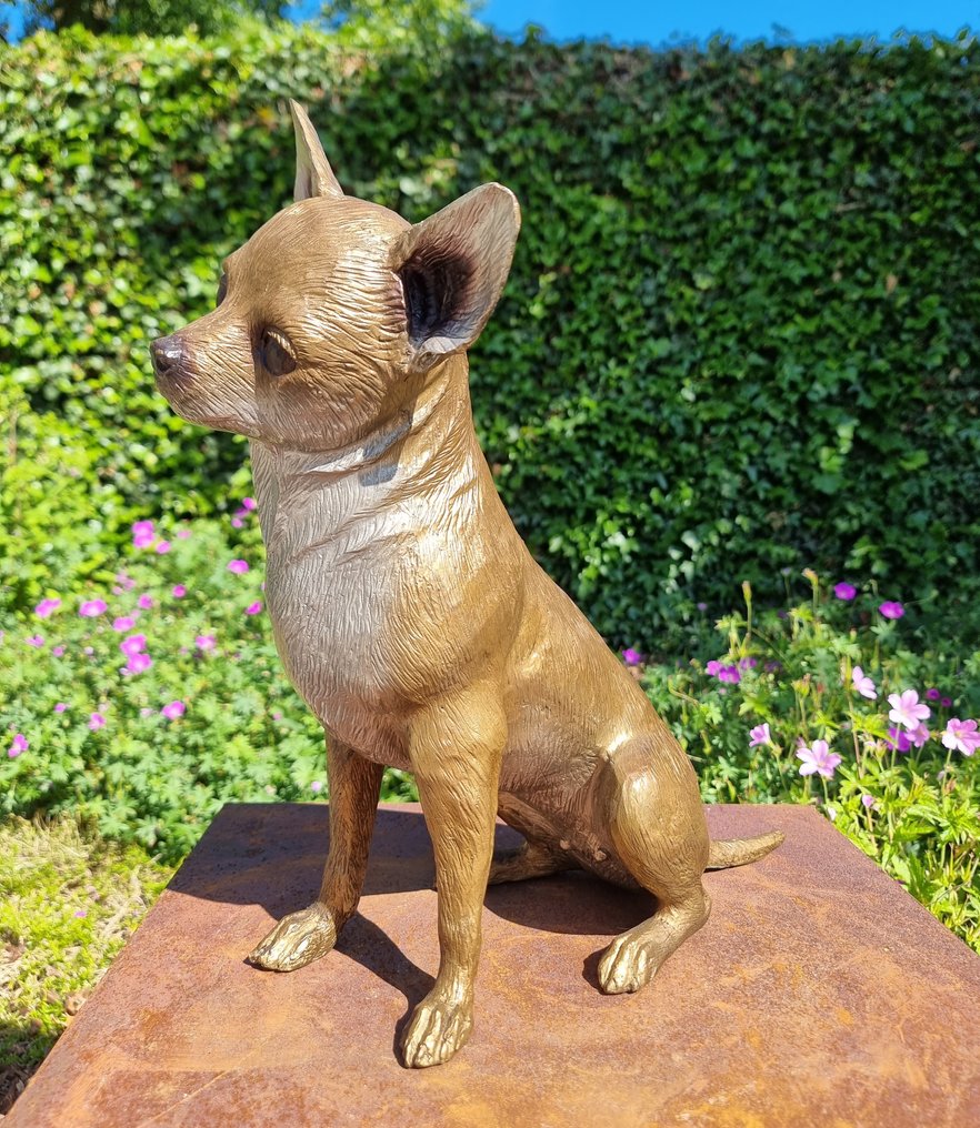 Szobrocska - Chihuahua - hond - Bronz #1.0