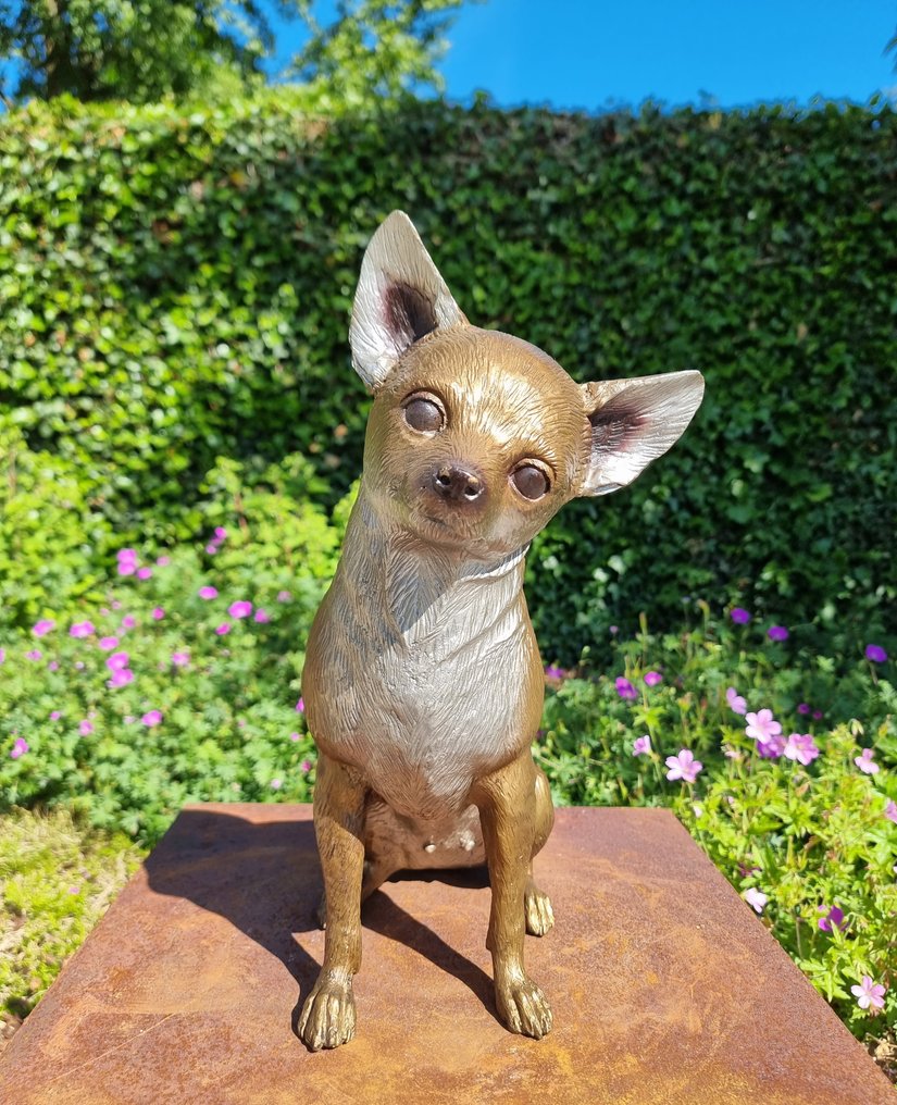 Szobrocska - Chihuahua - hond - Bronz #1.0