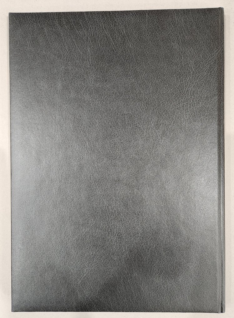 Thorgal T13 + frontispice - C - 1 Album - Limitált kiadás - 1994 #1.0