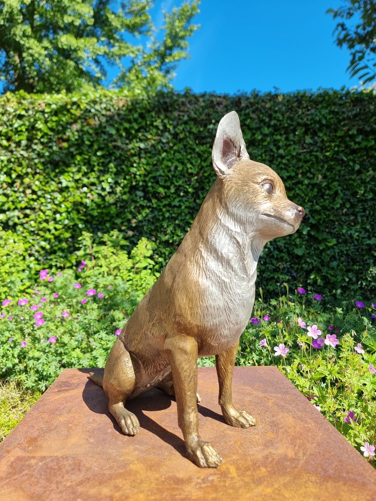 Szobrocska - Chihuahua - hond - Bronz #4.3