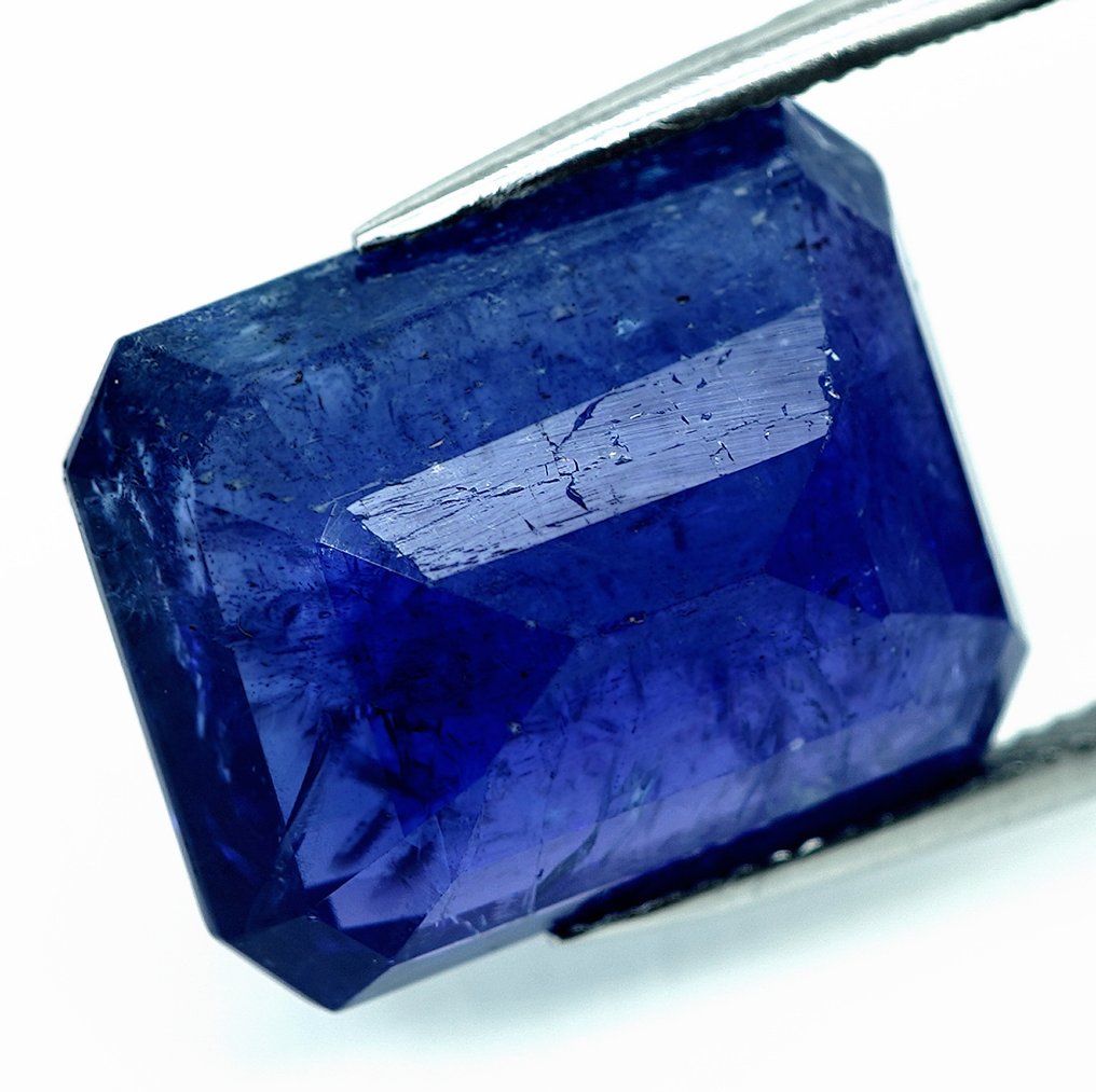 坦桑石 - 27.45 ct - 国际宝石研究院(IGI) #3.2